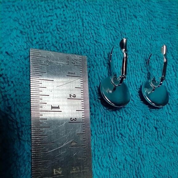 Silvertone lizard cat eye wire pierced lever earrings - Picture 3 of 6